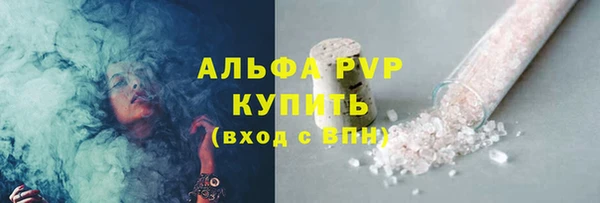 хмурый Аркадак