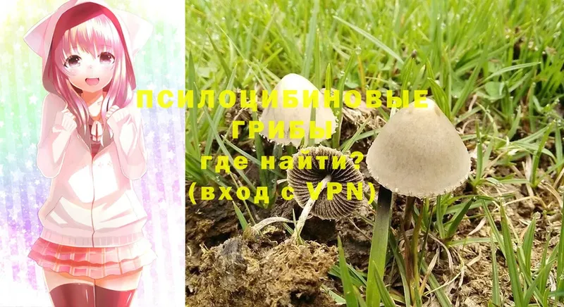 Галлюциногенные грибы Magic Shrooms  darknet клад  Валдай 